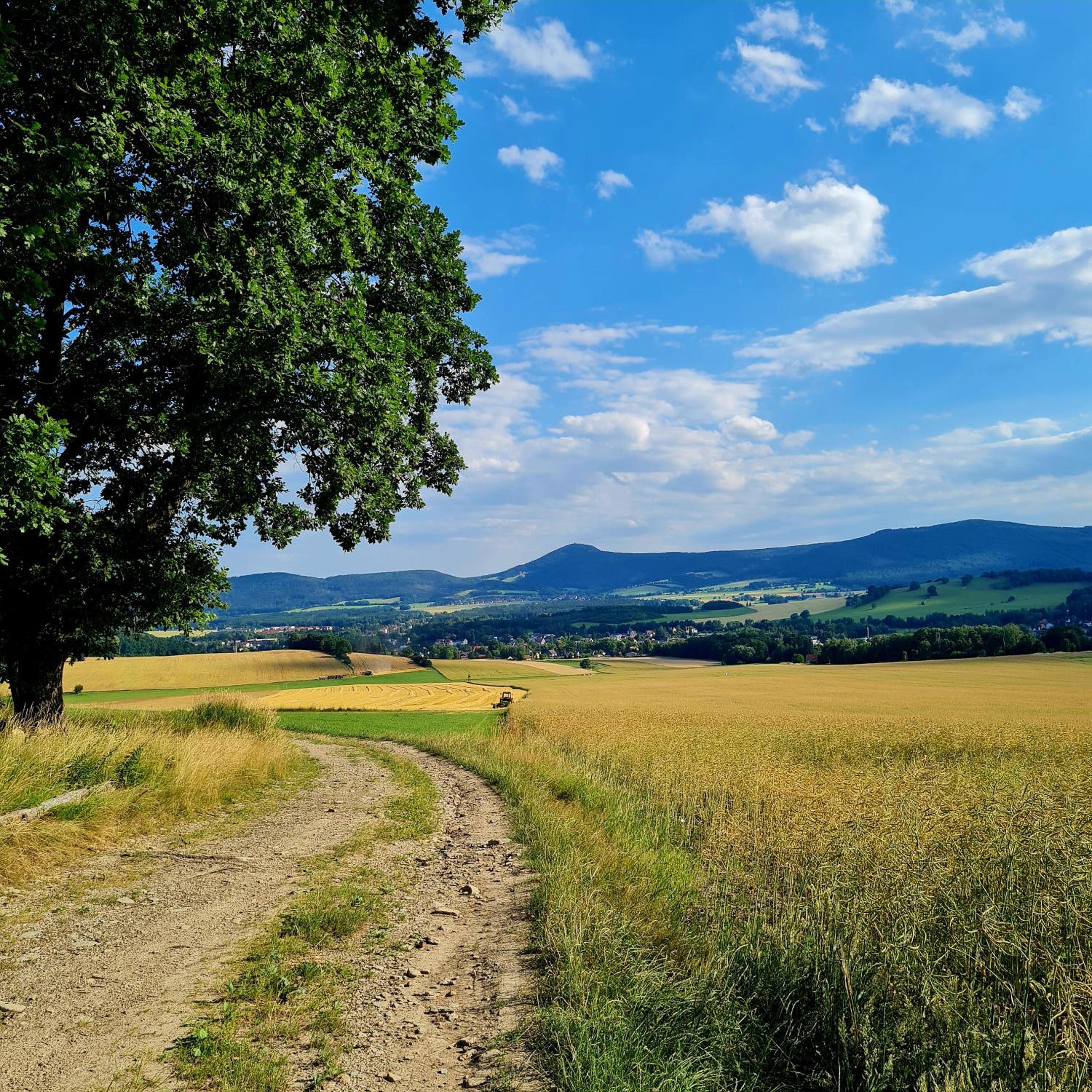 Urlaubsdomizil Am Töpfer - Ferienwohnungen in Olbersdorf