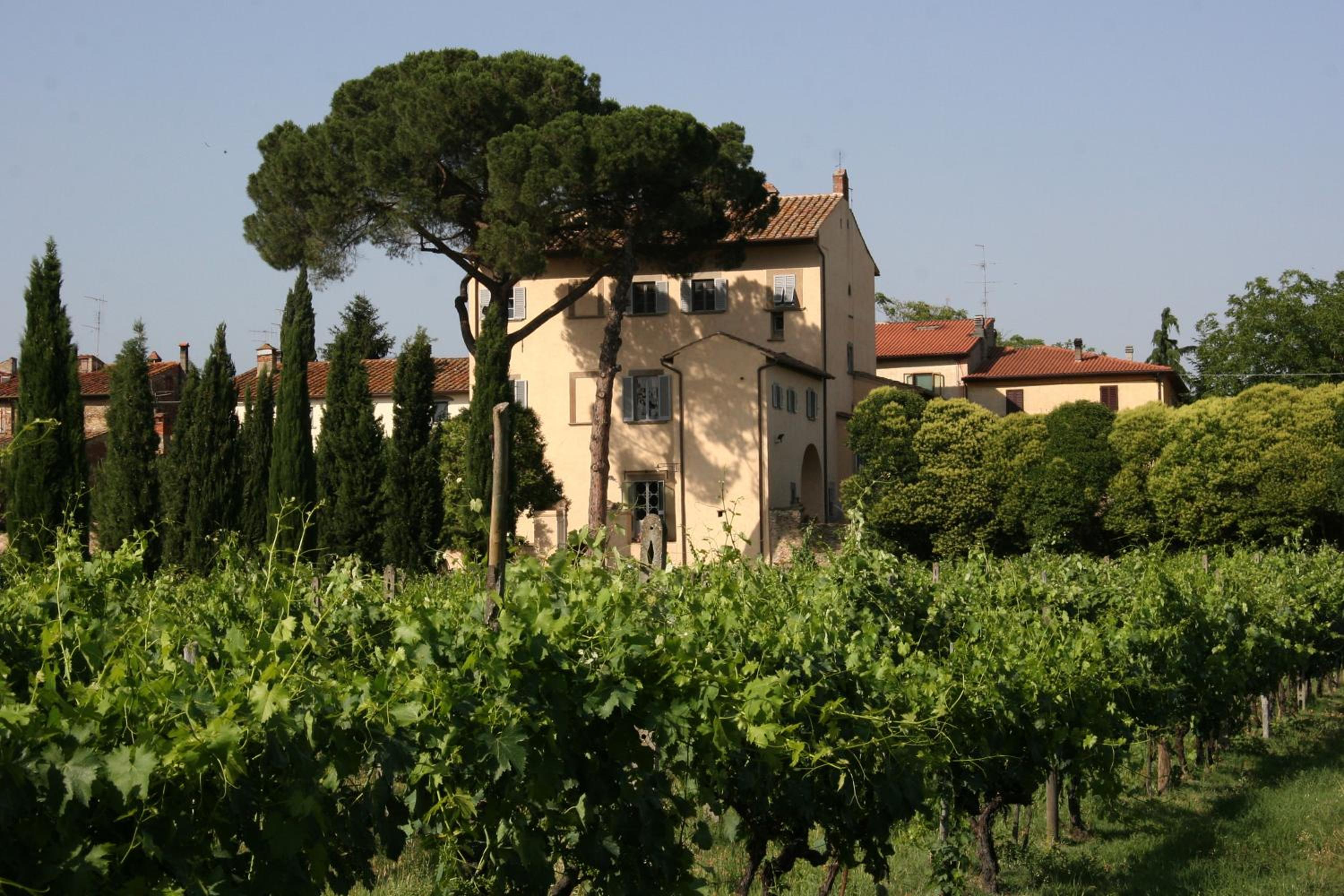 Villa Guadagni Cappelli view 4
