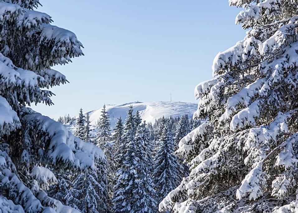 Ferienwohnung Lotti + Hochschwarzwald Card