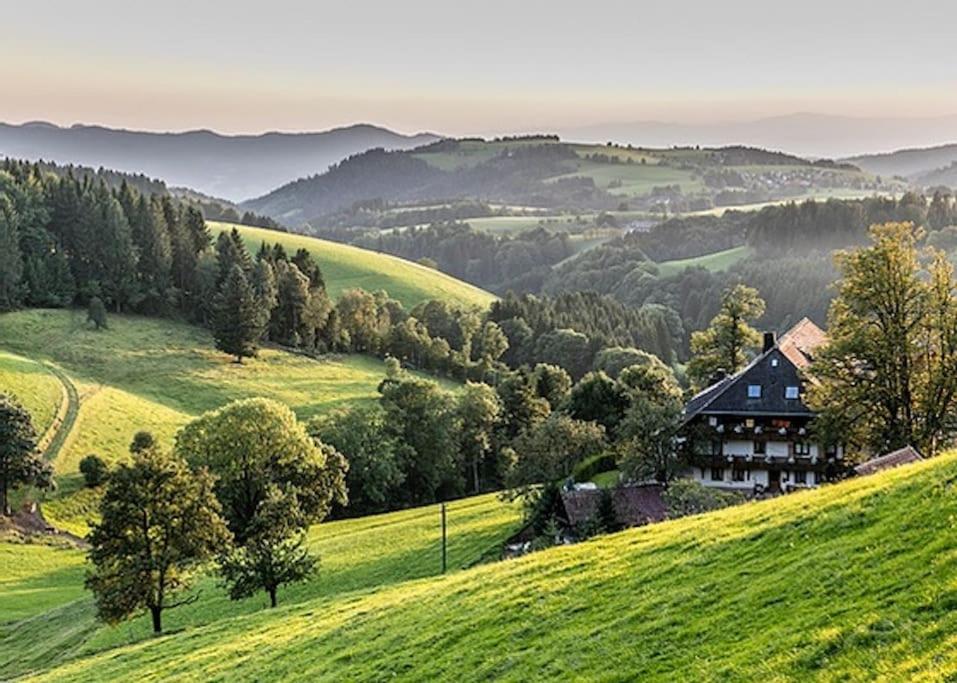Ferienwohnung Lotti + Hochschwarzwald Card
