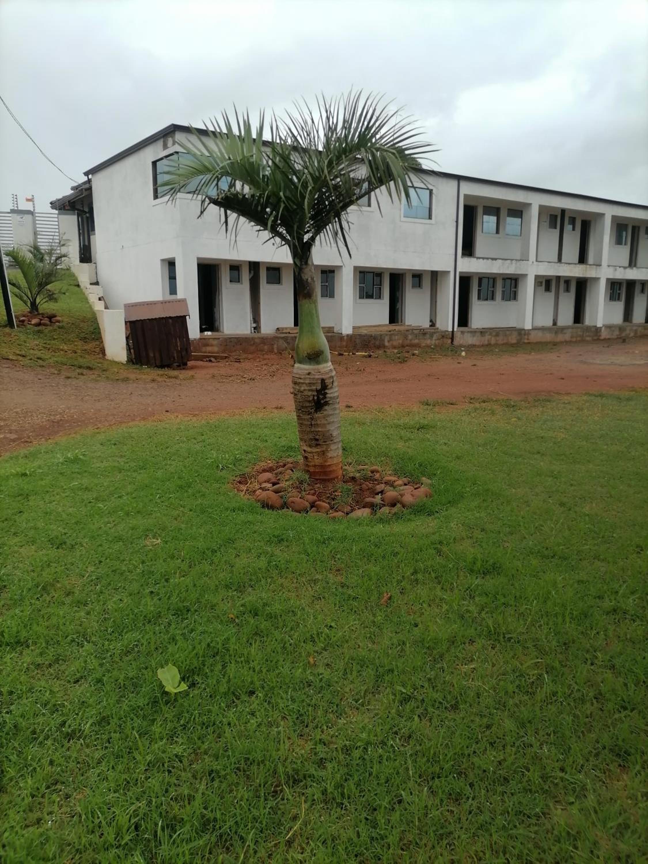 BF Dlamini Guesthouse view 2