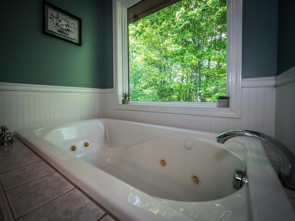 Lookout Point Cabin-Long Range Mt View-PAVED ROADS-Hot tub-Fire Pit-Dog friendly view 5