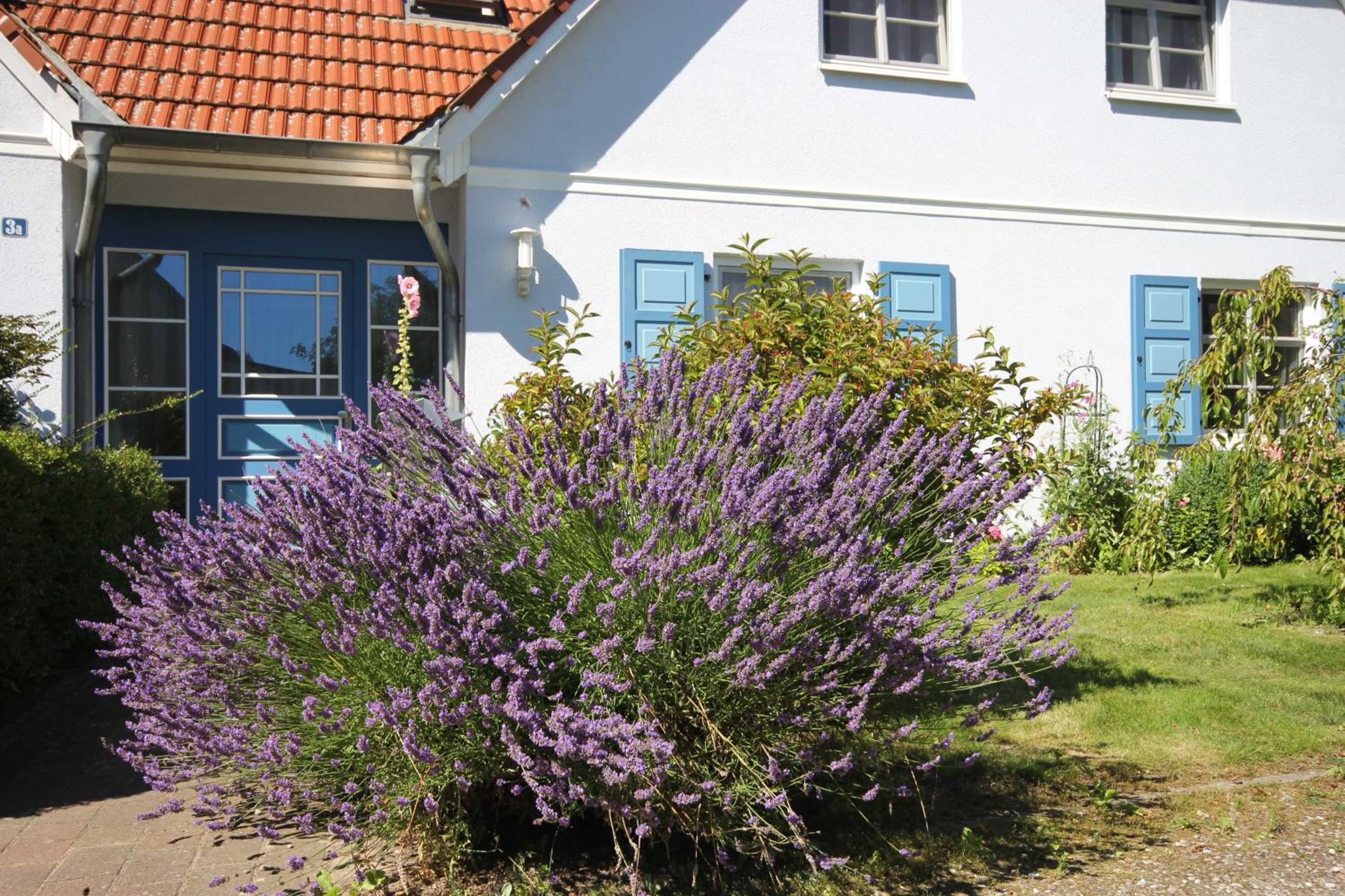 Abels Strandkoje