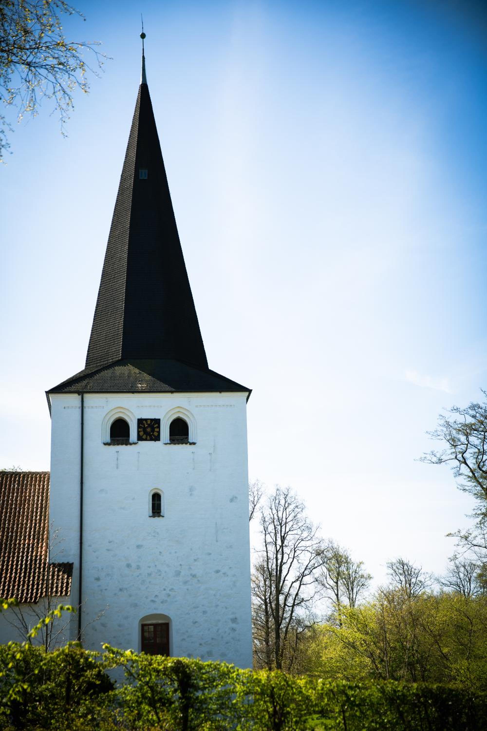 Photo 35
