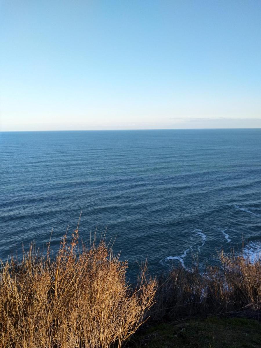 Guest House Kami