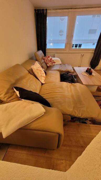 Omi's Nest, für klein und gross