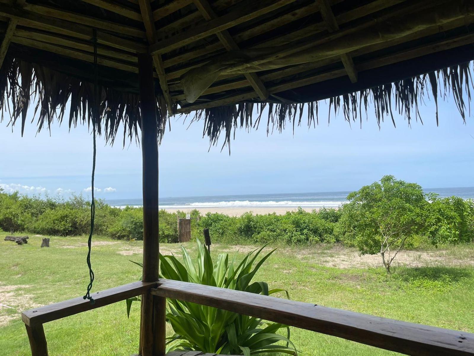 Kamala Surf & Backpacker Hostel view 4