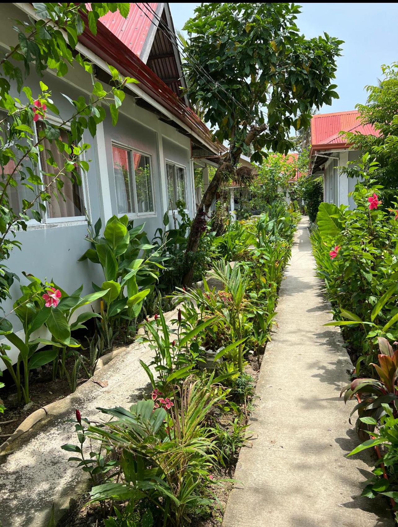 Siargao Residency - Generator & Starlink
