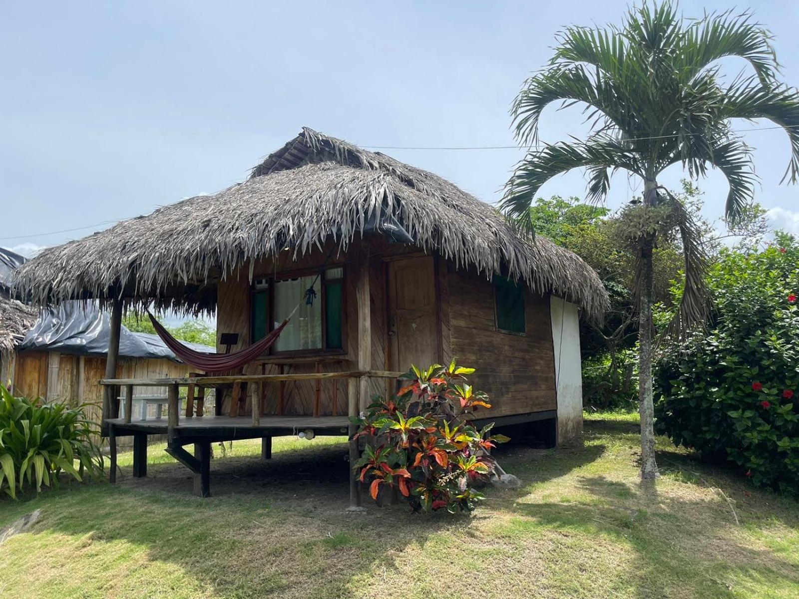 Kamala Surf & Backpacker Hostel view 5