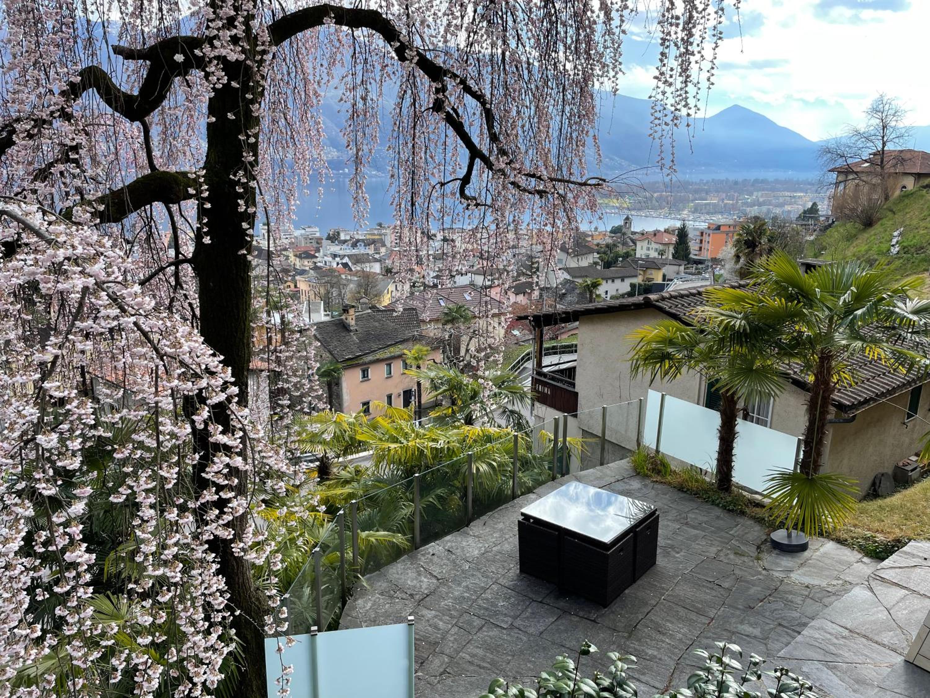 Casa Sibylle studio - piccolo paradiso view 2