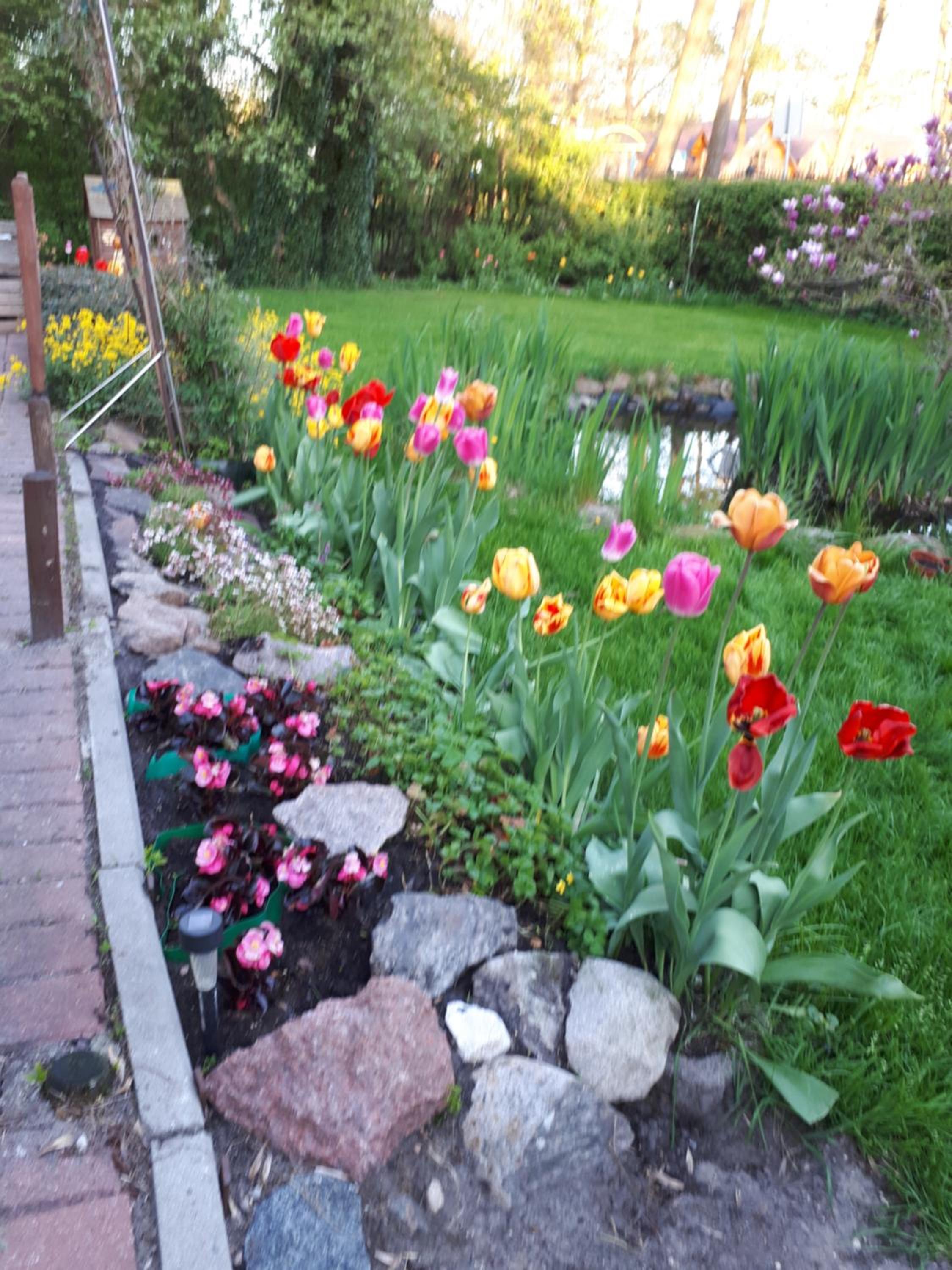 Photo 31