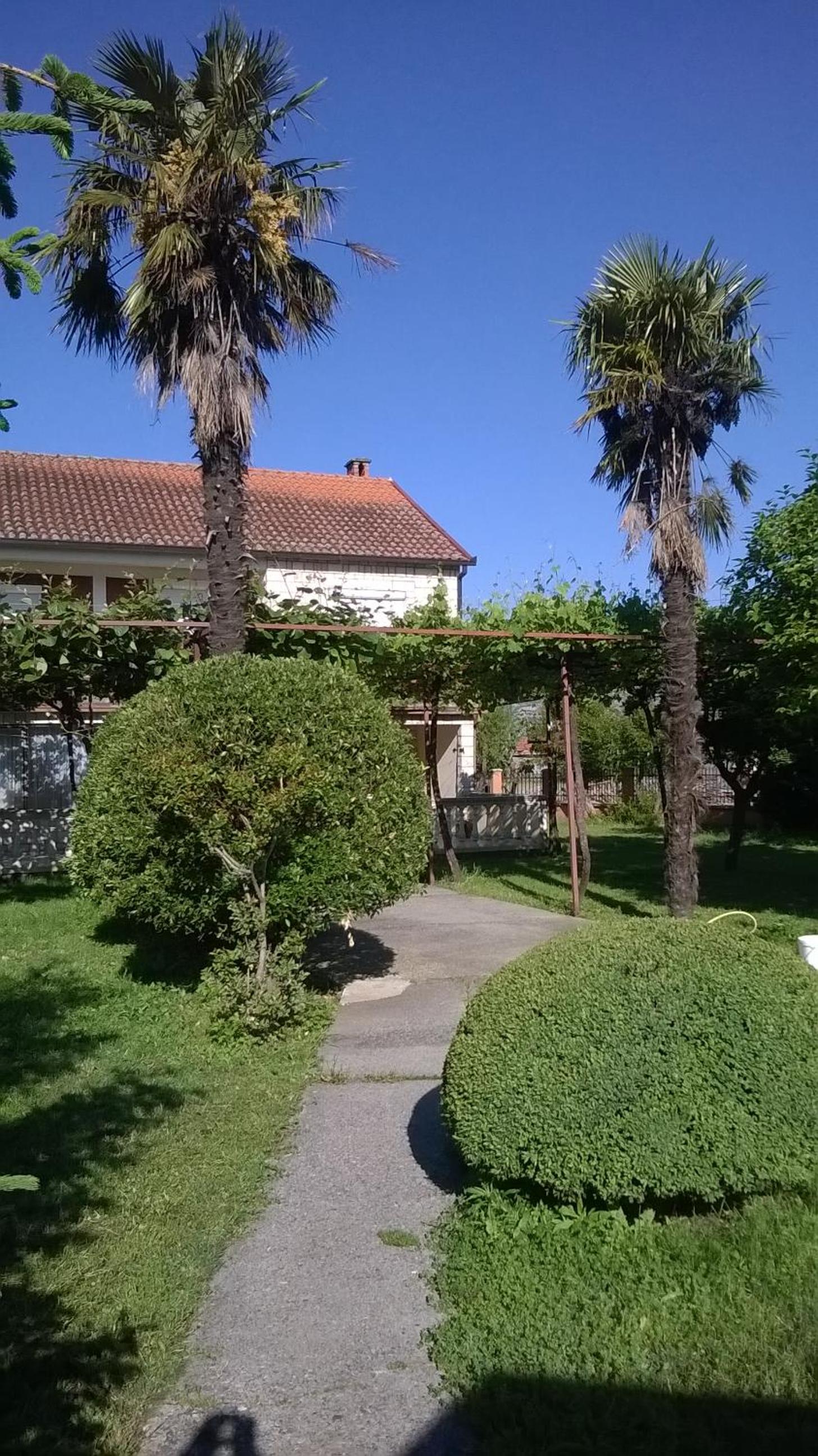 Photo 43