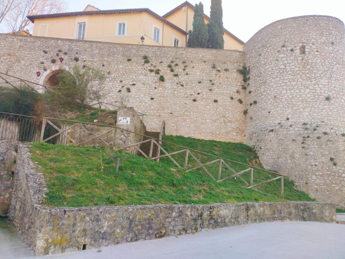 MancioBiba Home