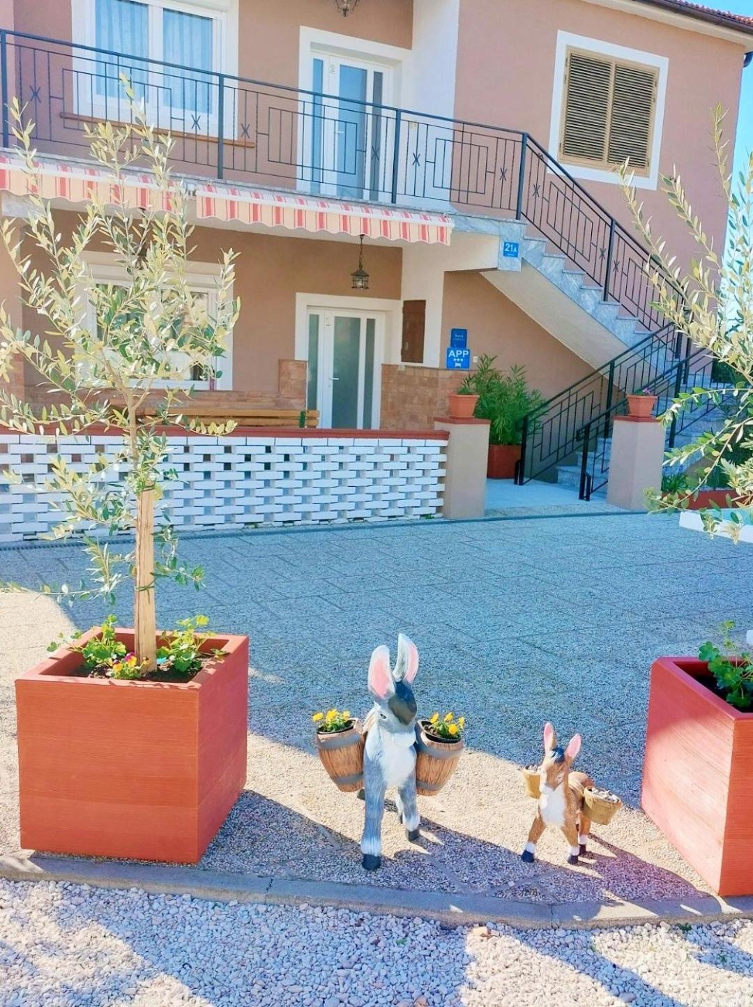 Photo 48