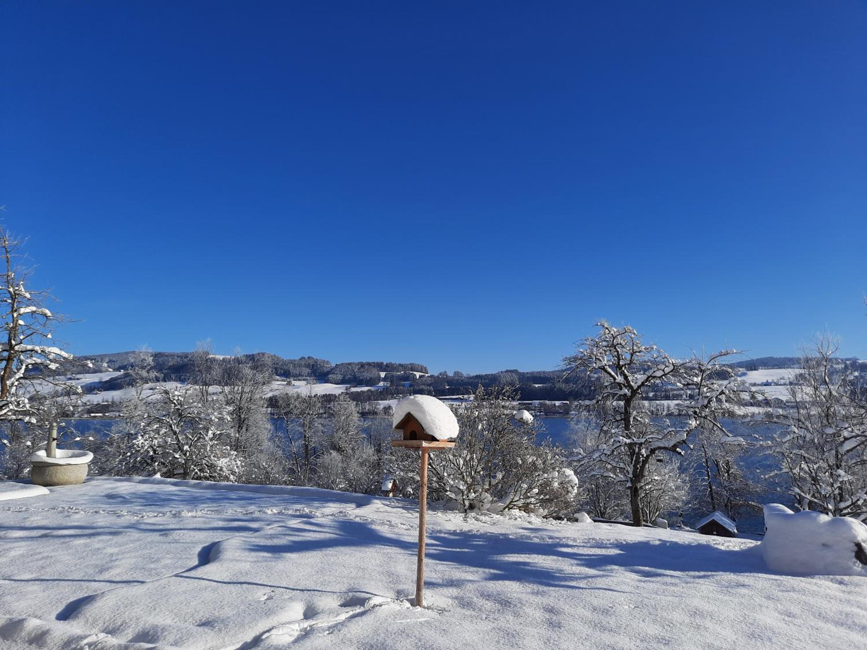 Serner am See