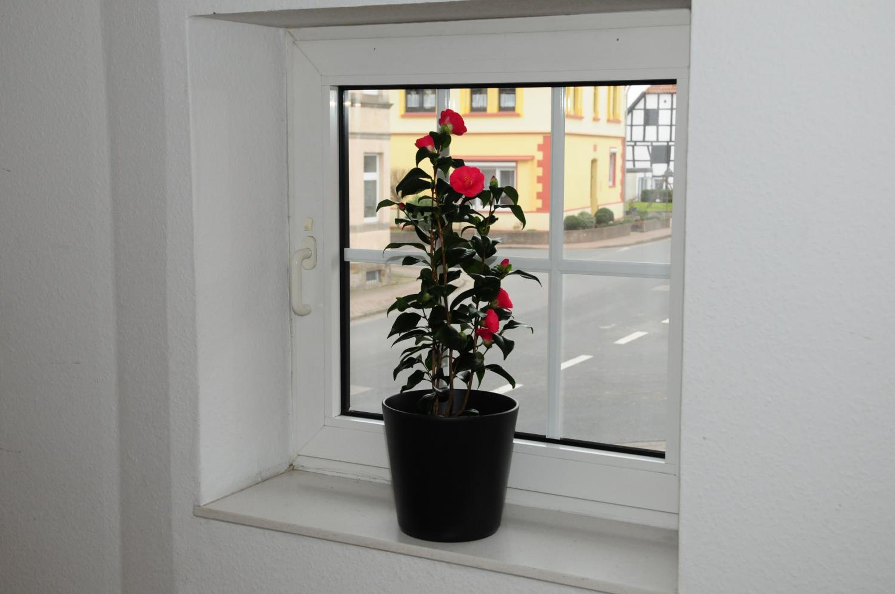Pension Schaumburger-Hof