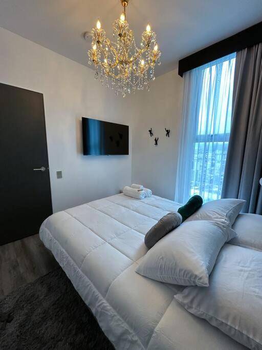 Luxury & Cozy Apartment in SJ