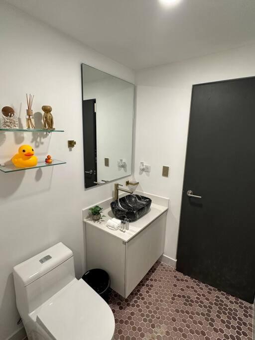Luxury & Cozy Apartment in SJ