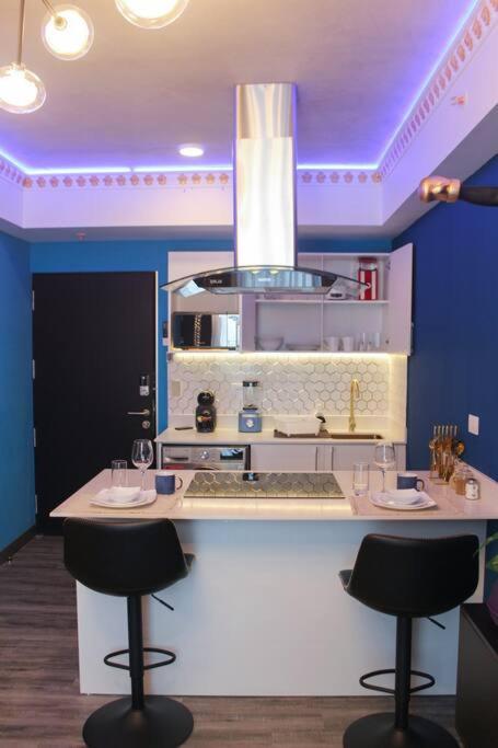 Luxury & Cozy Apartment in SJ