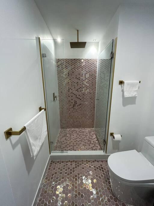 Luxury & Cozy Apartment in SJ