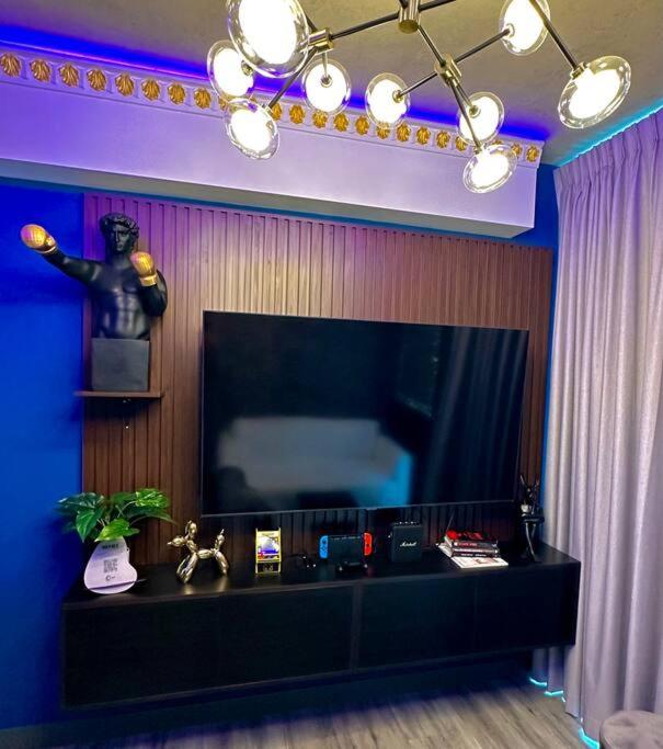 Luxury & Cozy Apartment in SJ