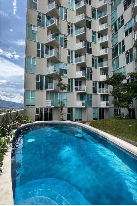 Luxury & Cozy Apartment in SJ