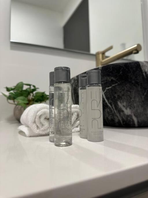 Luxury & Cozy Apartment in SJ
