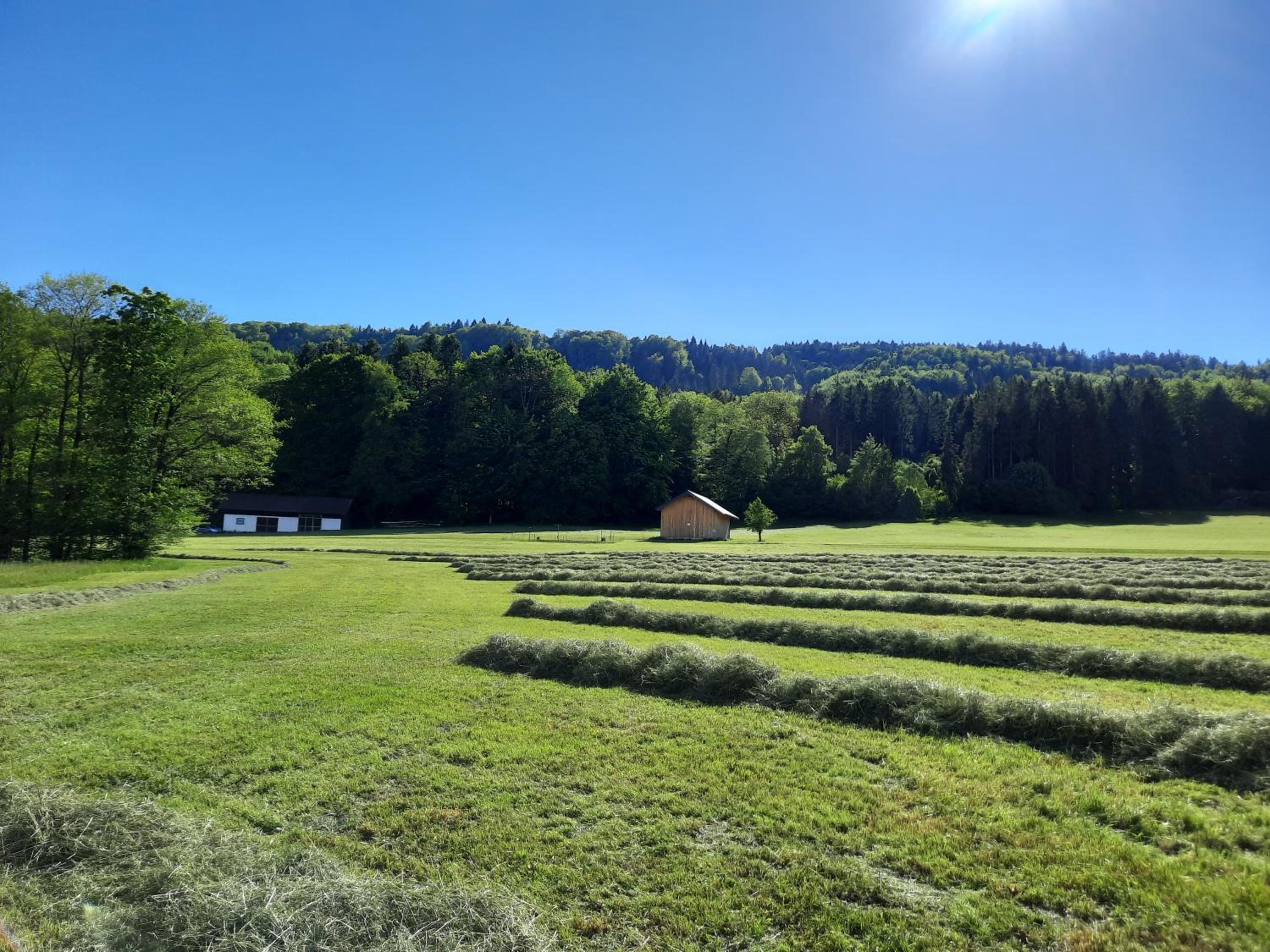 Serner am See
