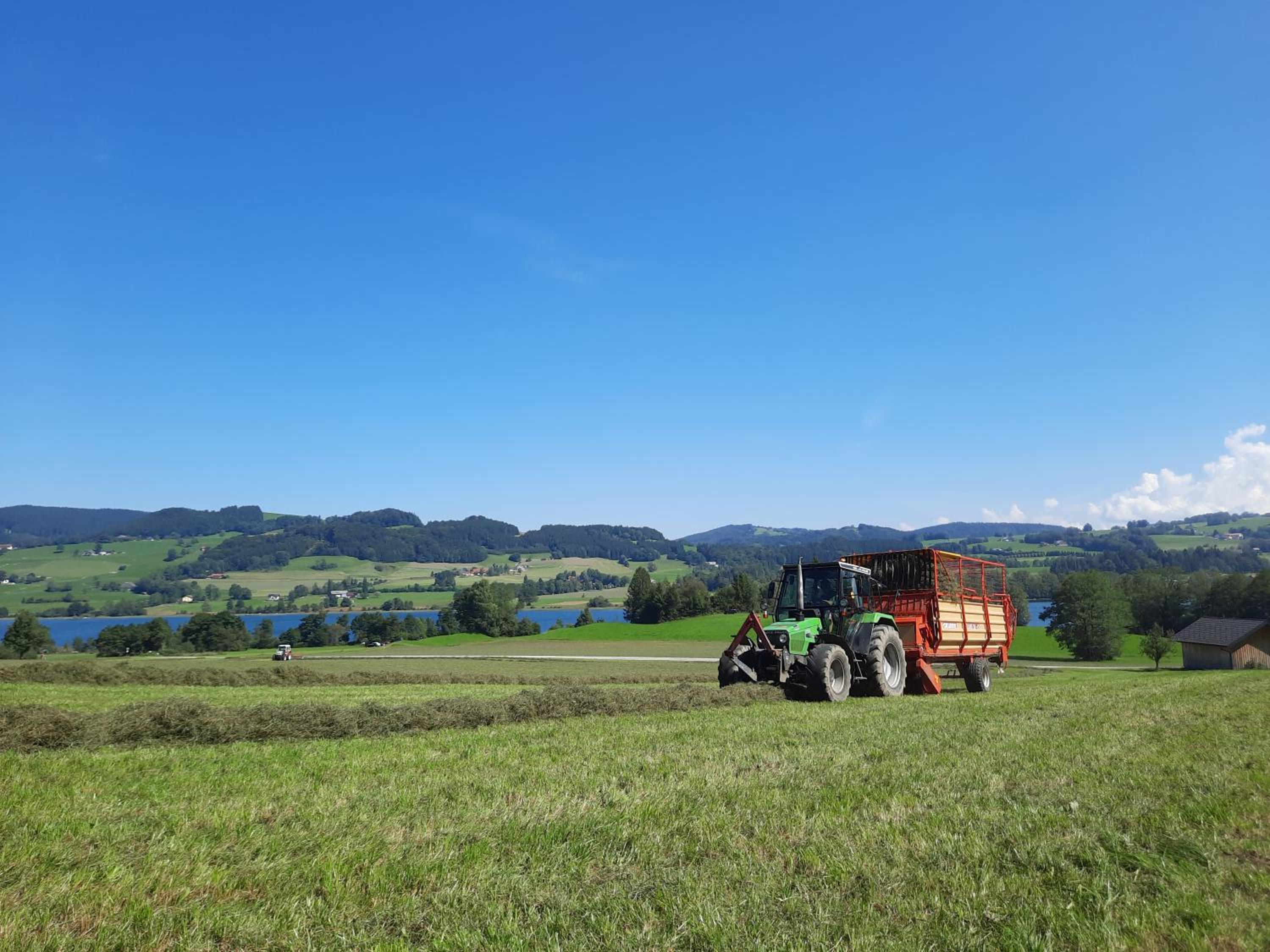Serner am See