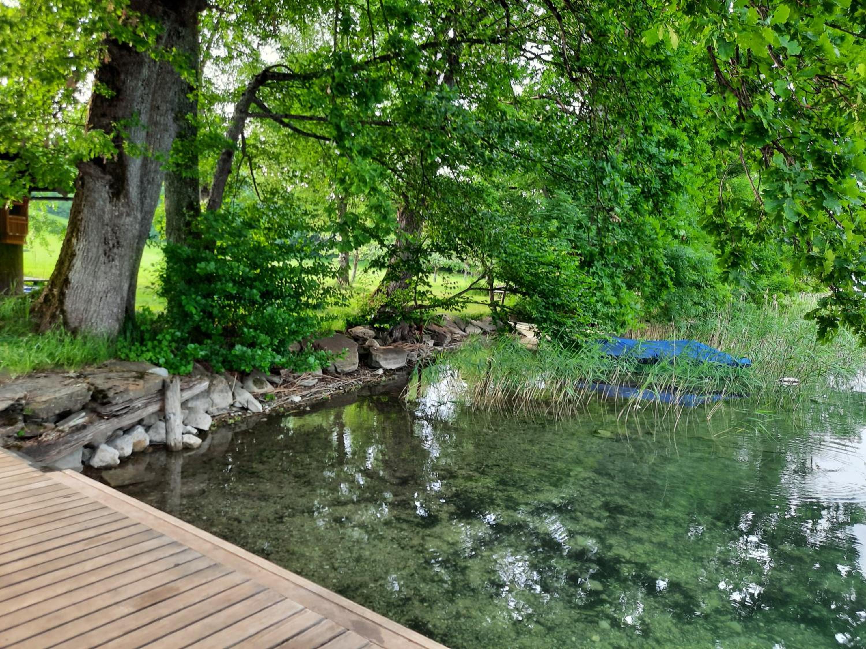 Serner am See