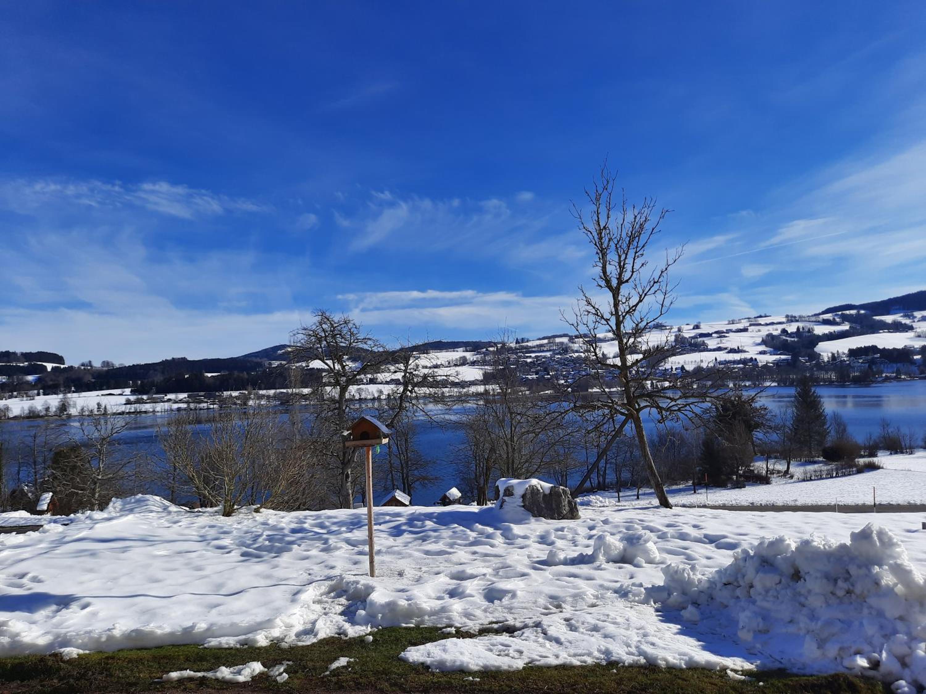 Serner am See