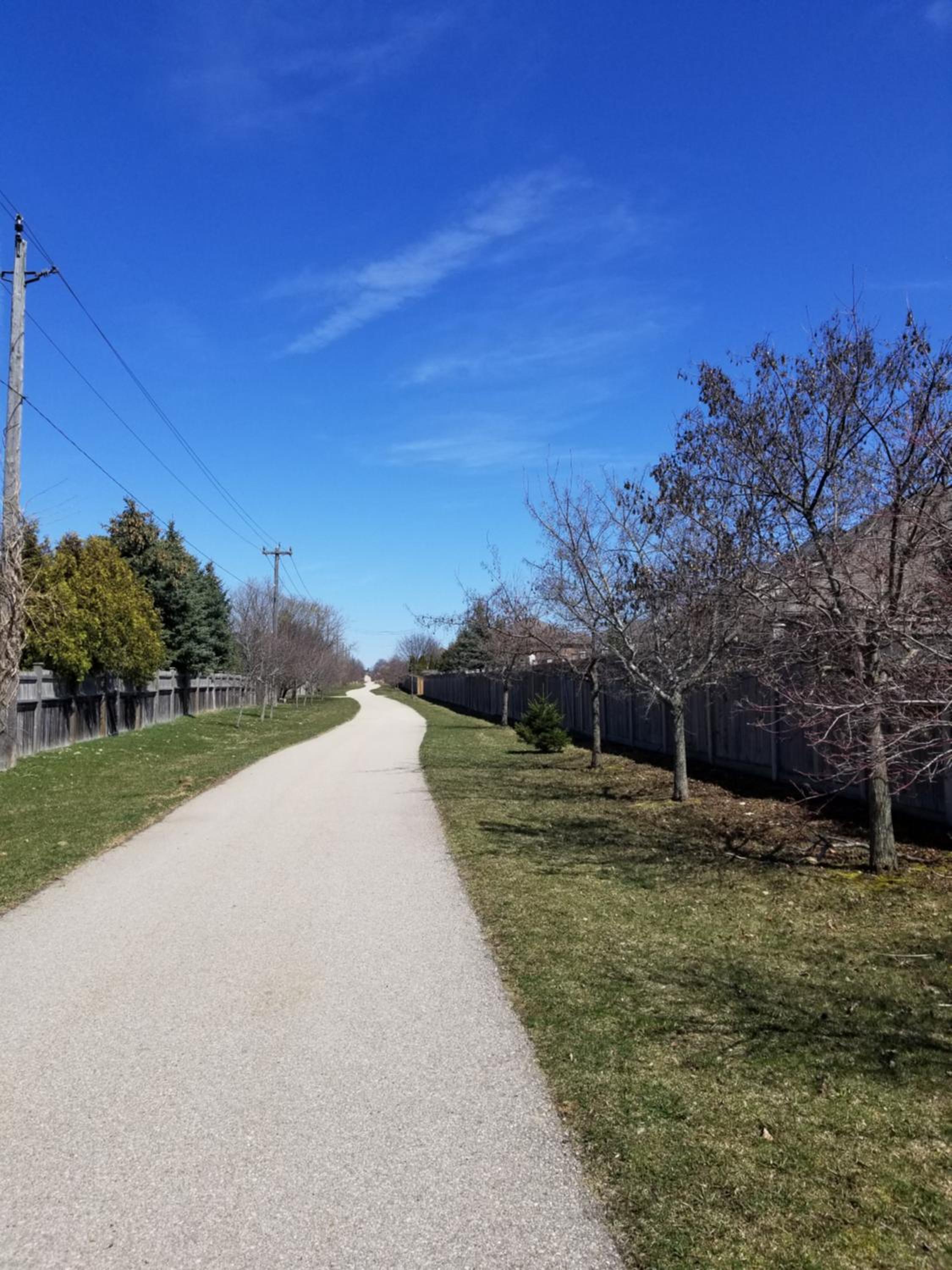 Executive House easy access to Kitchener-Waterloo, Cambridge, Toronto, walk to restaurants