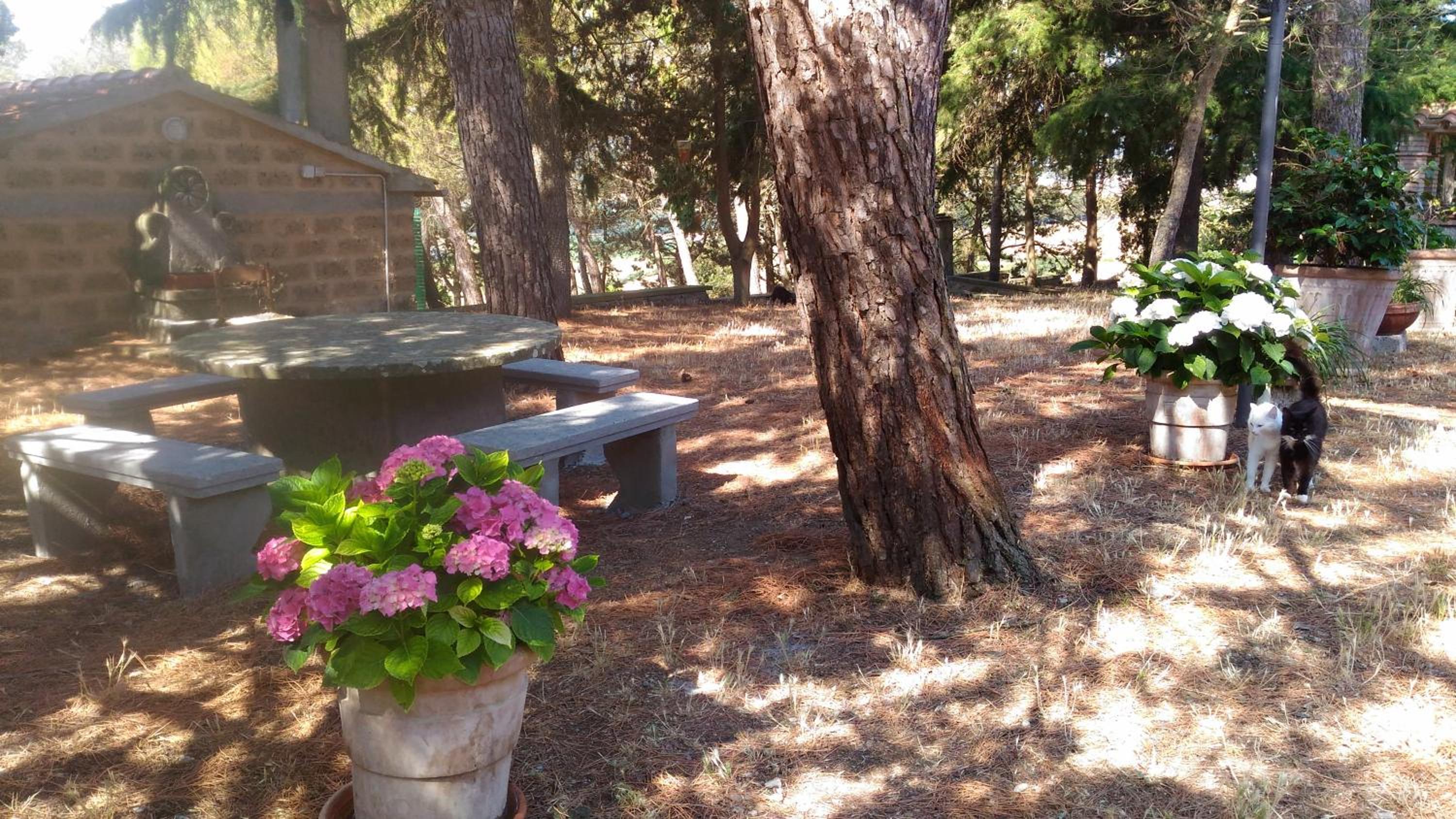 Agriturismo Sant'Angelo