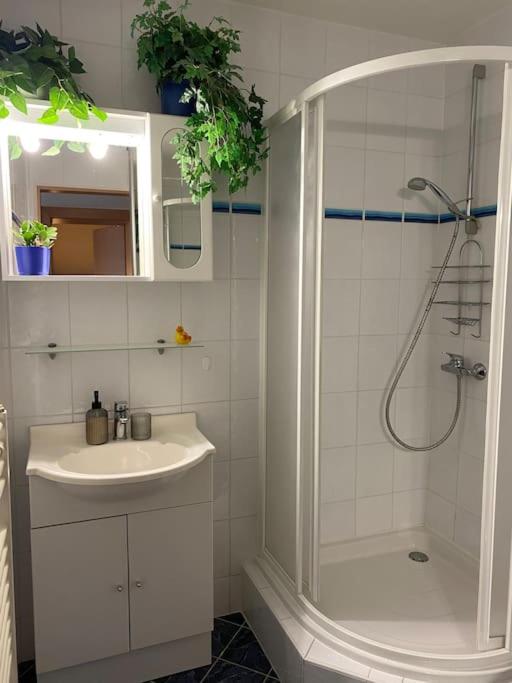 Apartmán PEPO Smokovec view 2