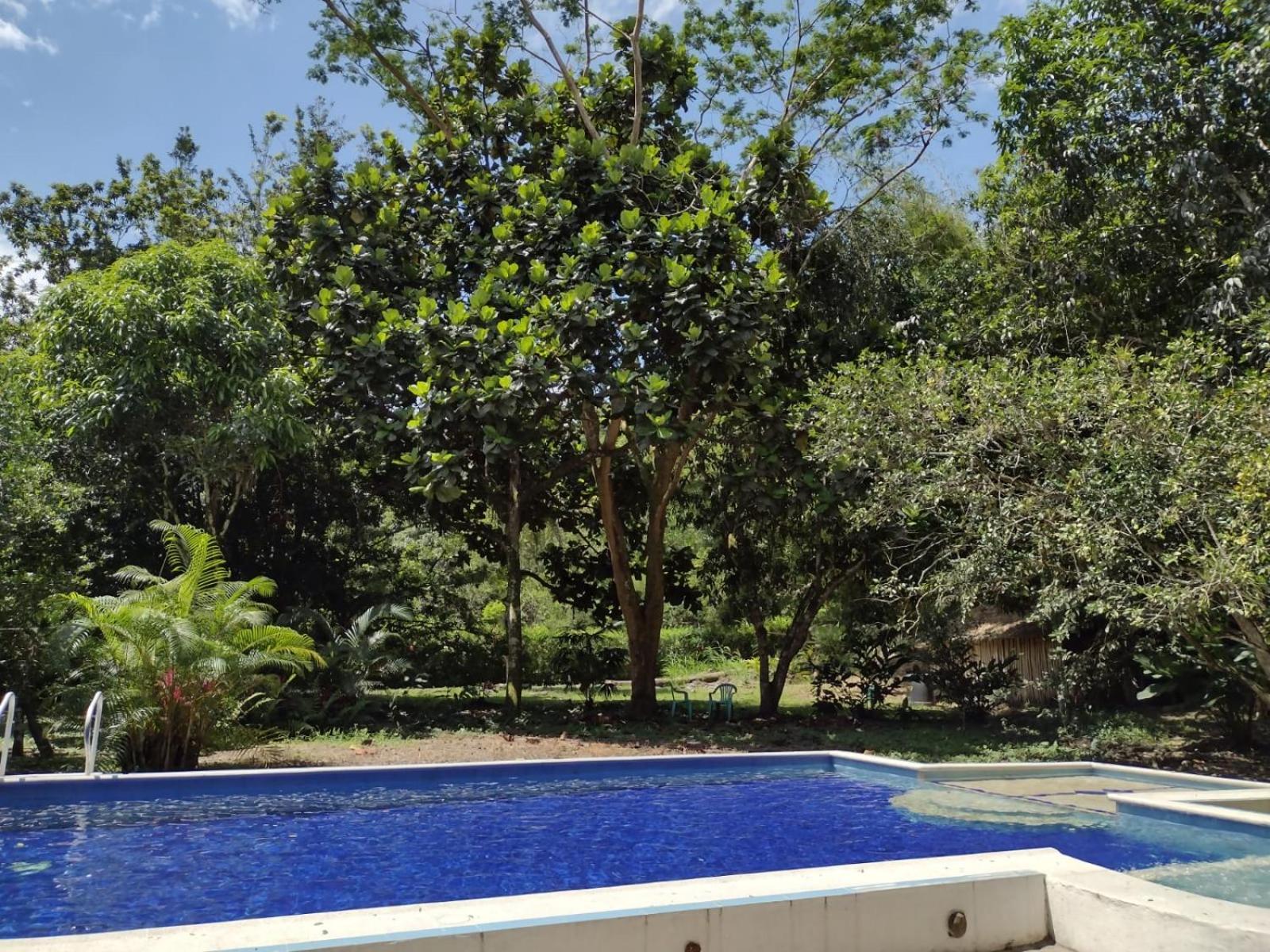TierraViva