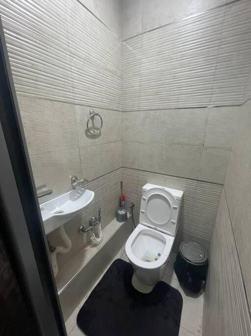 Light apartment