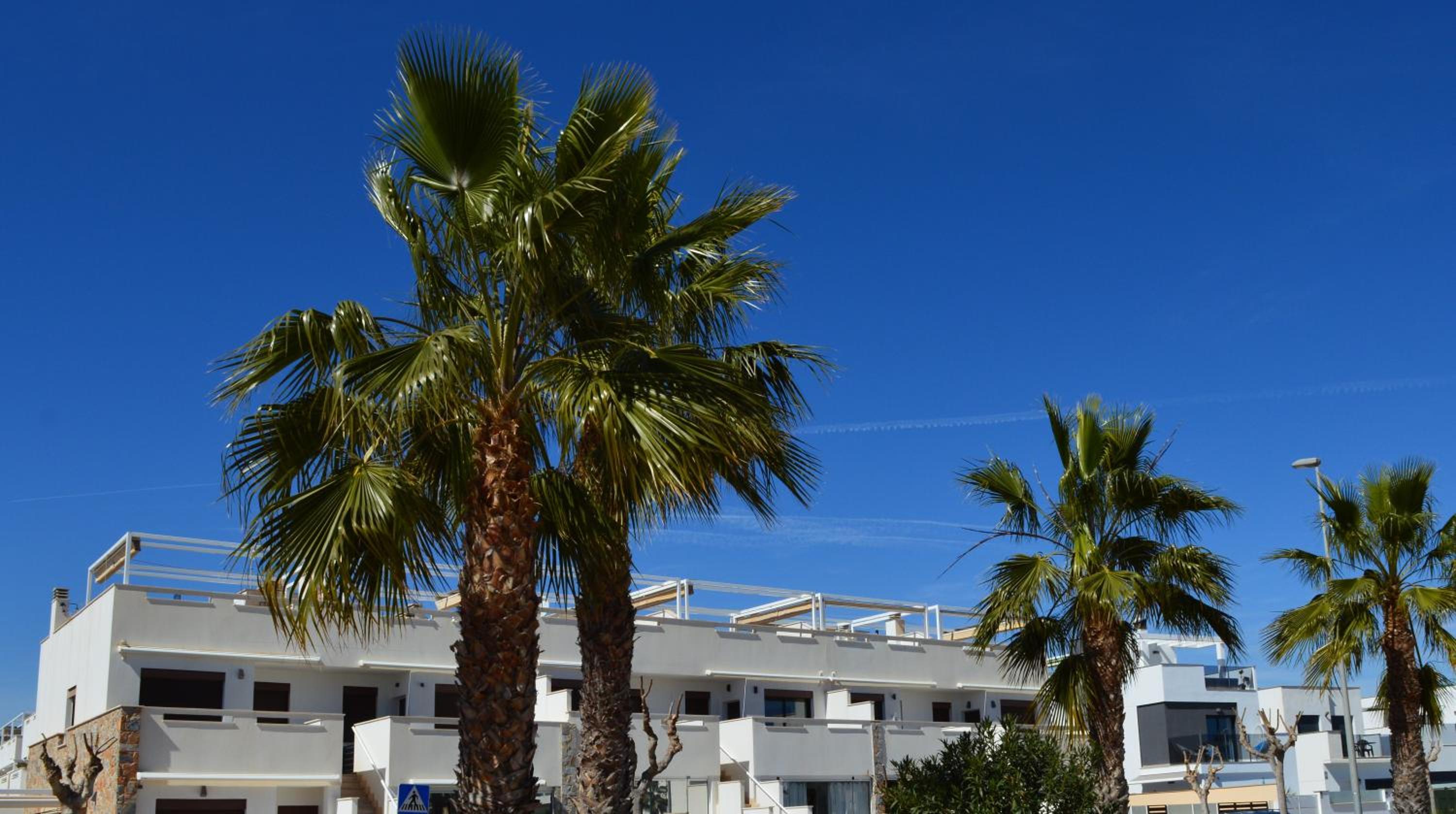 Comfortable Apartment in Torre de la Horadada