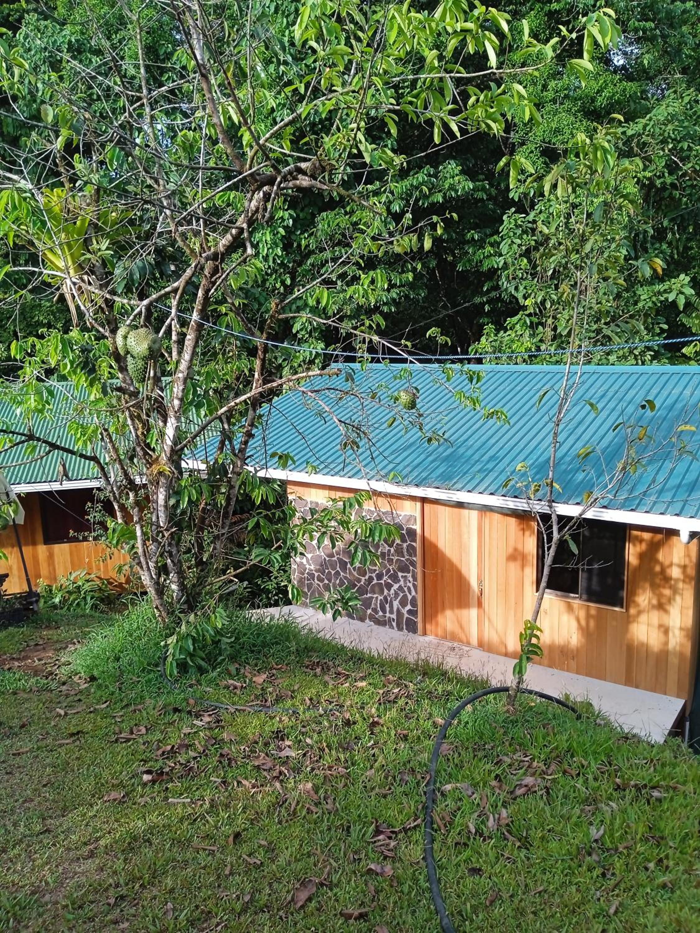 Cabañas Bajo Bosque Drake