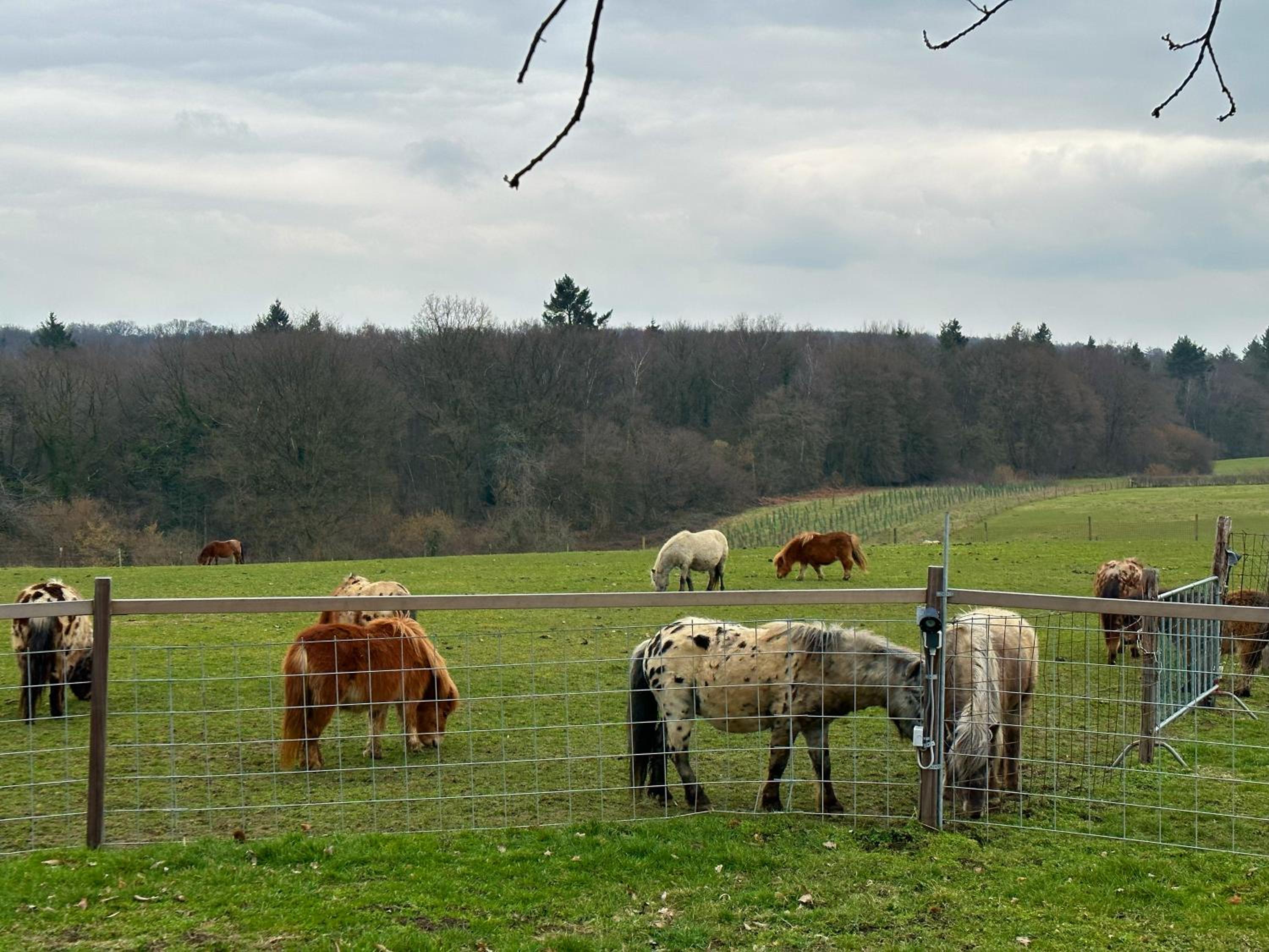 Bungalowpark Landsrade