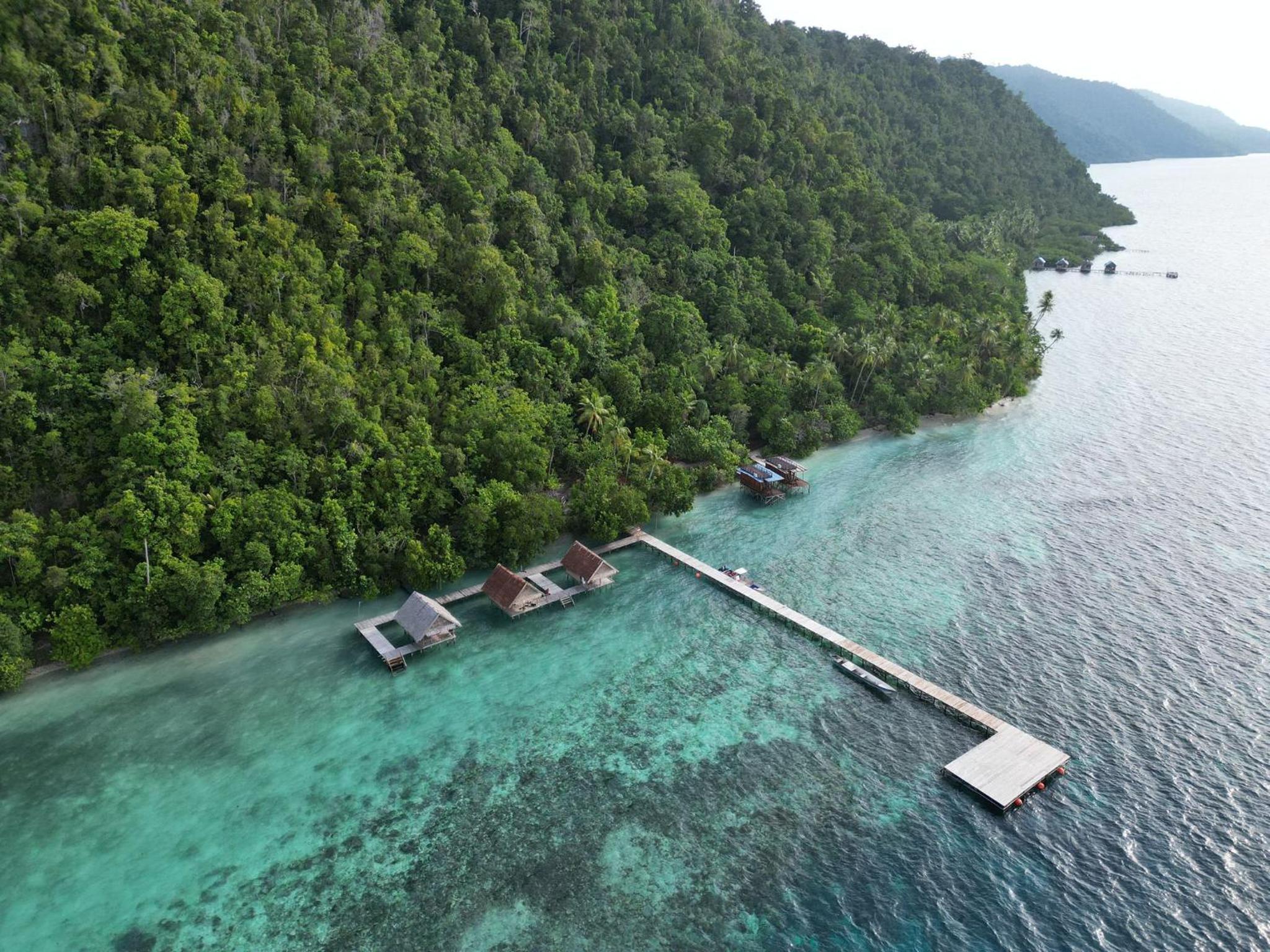 Terimakasih homestay