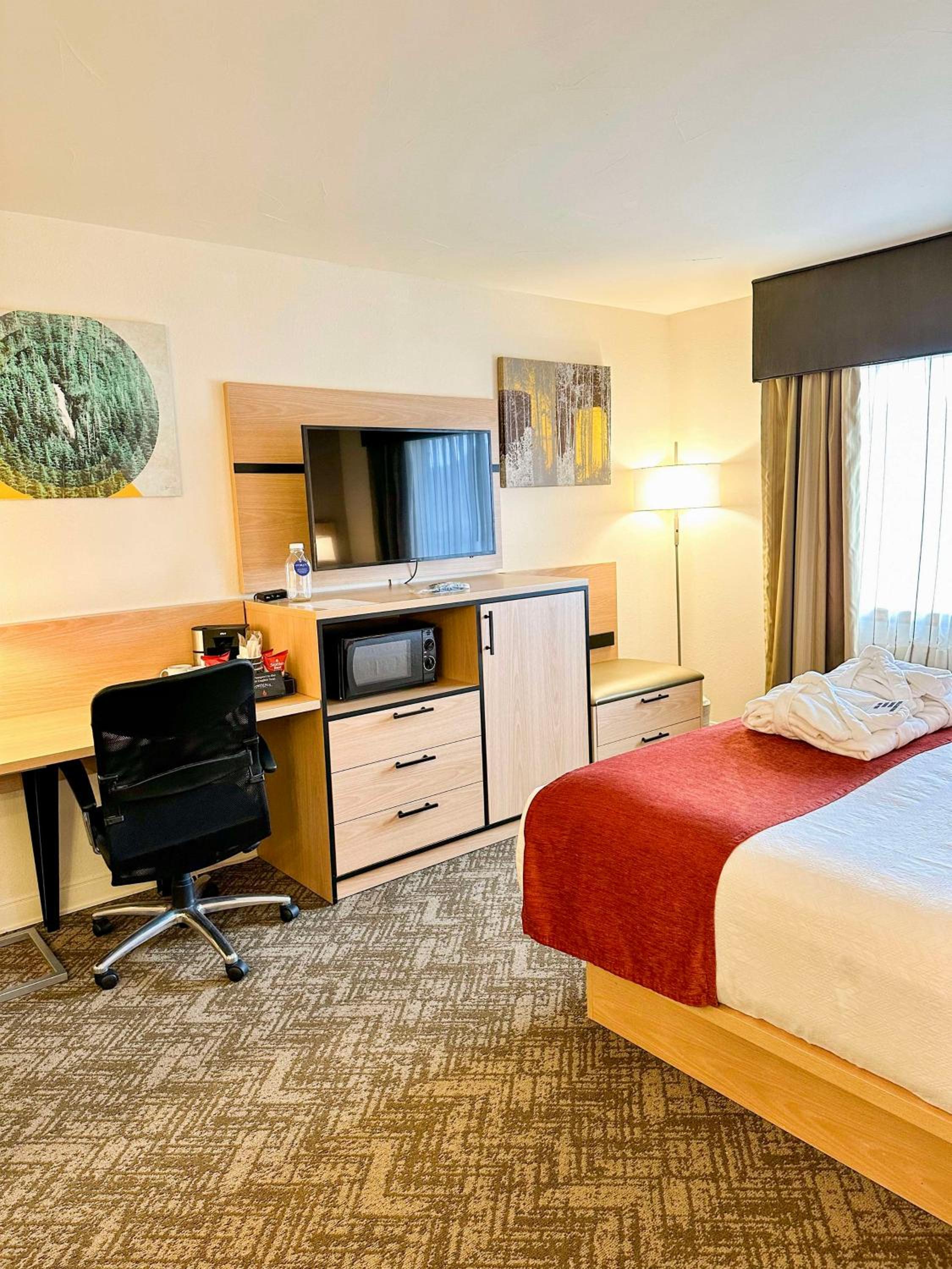 Orlando Vacations - Best Western Vista Inn - Property Image 12
