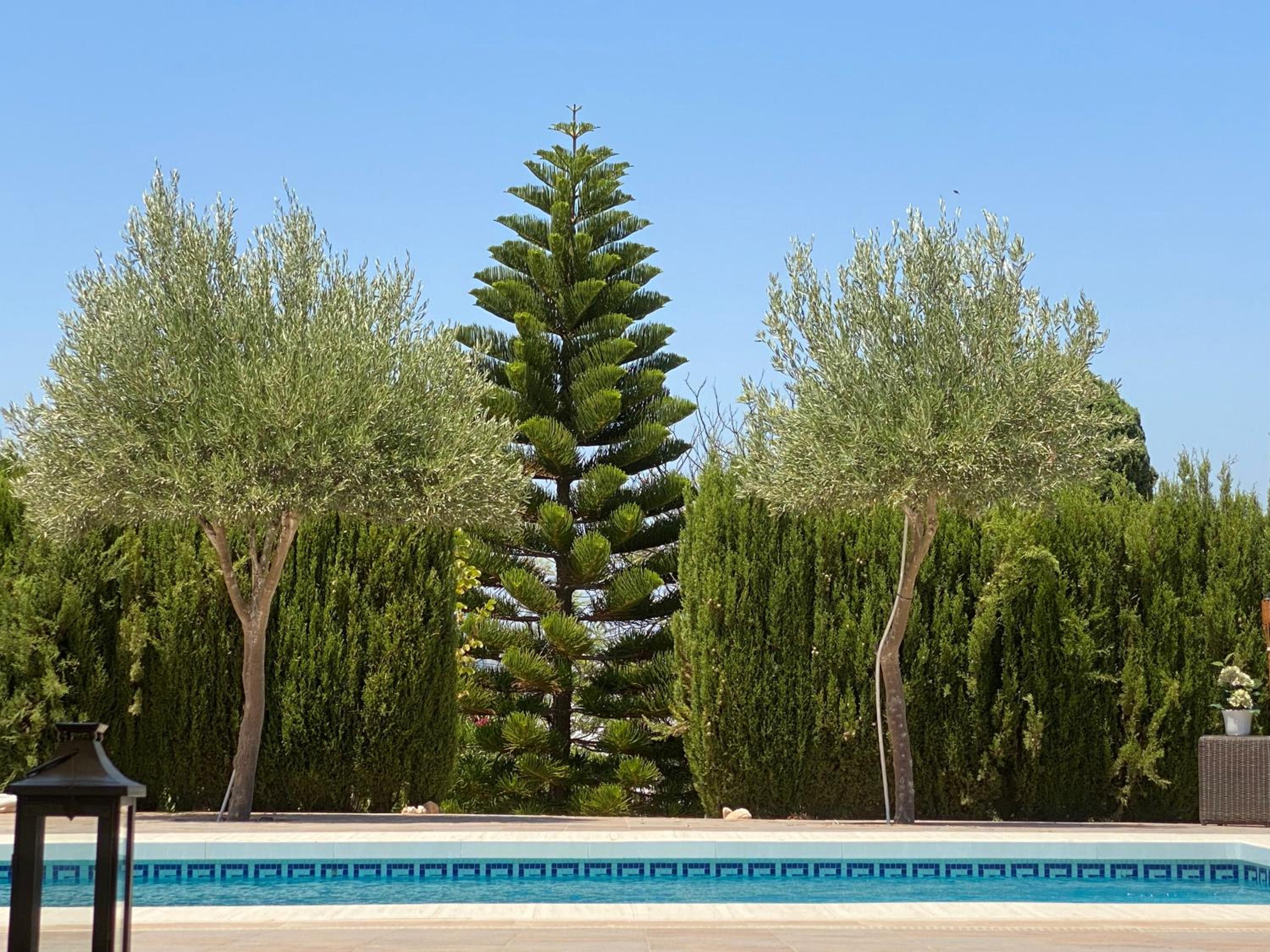 Detached holiday house, 2 bedrooms, private garden, pool