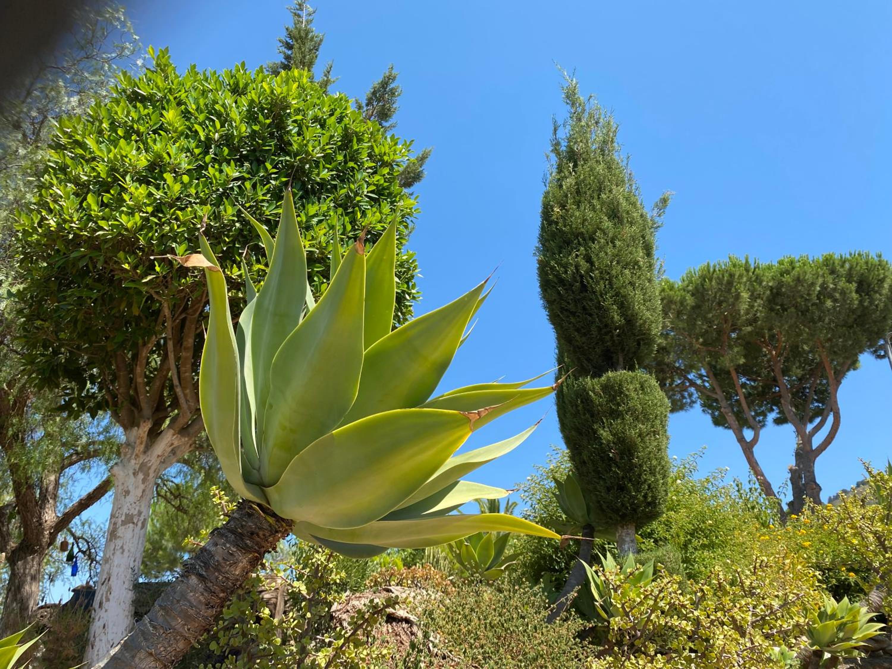 Detached holiday house, 2 bedrooms, private garden, pool