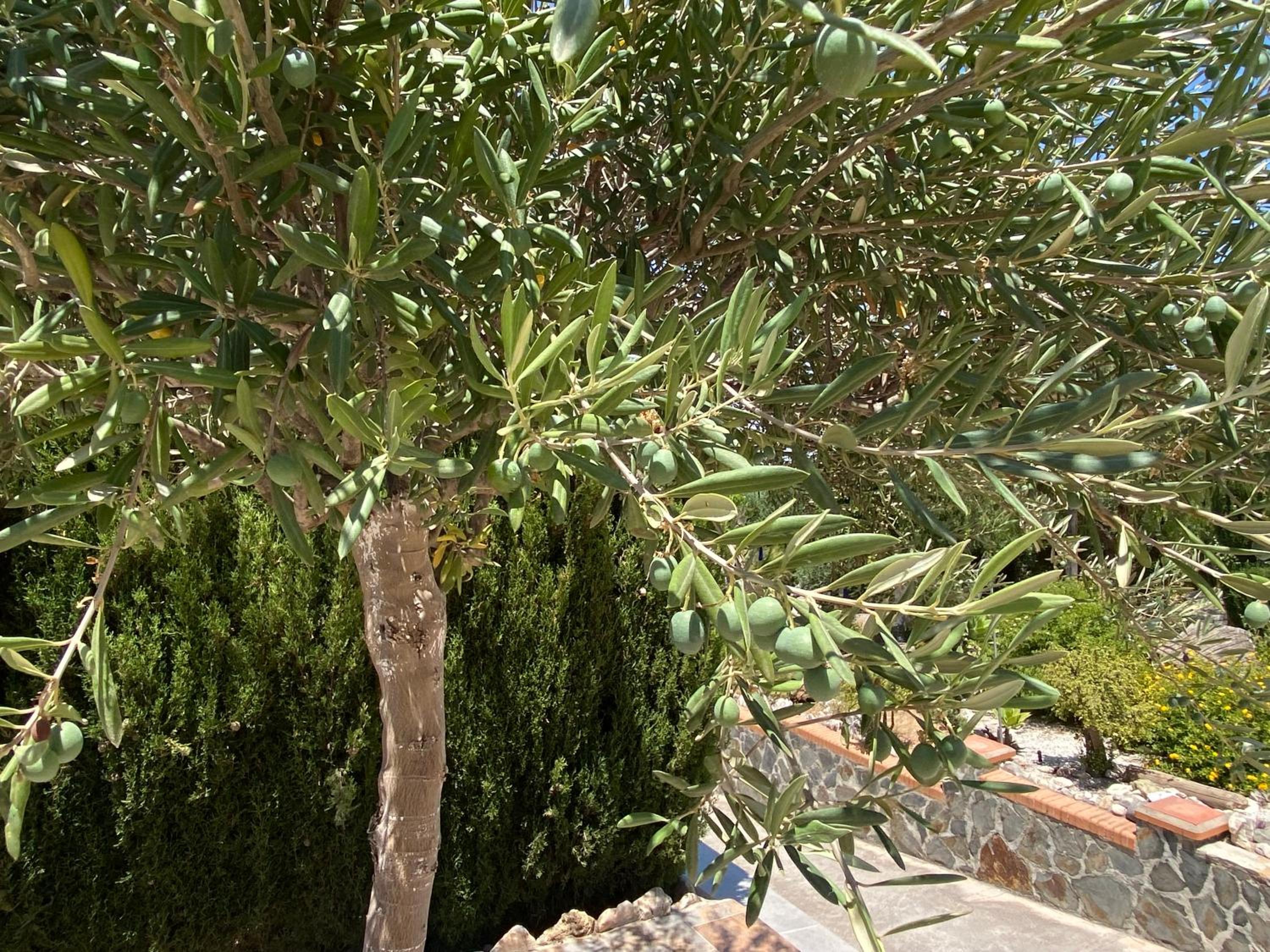 Detached holiday house, 2 bedrooms, private garden, pool