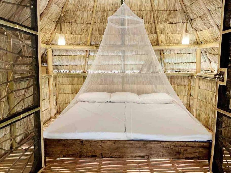 Tree House by the Ocean ( for 2 guests) view 4