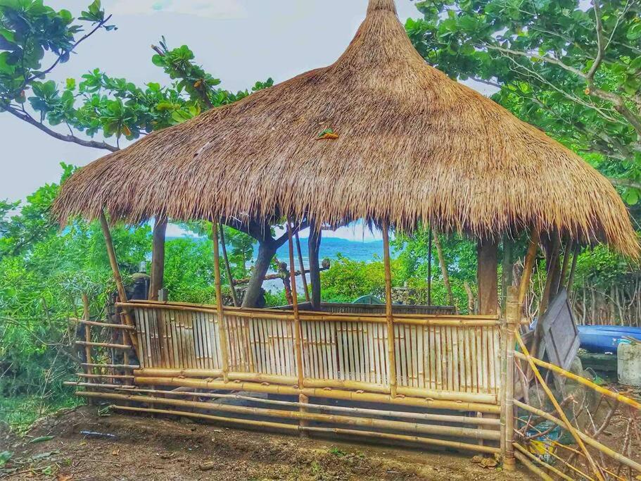 Photo 47
