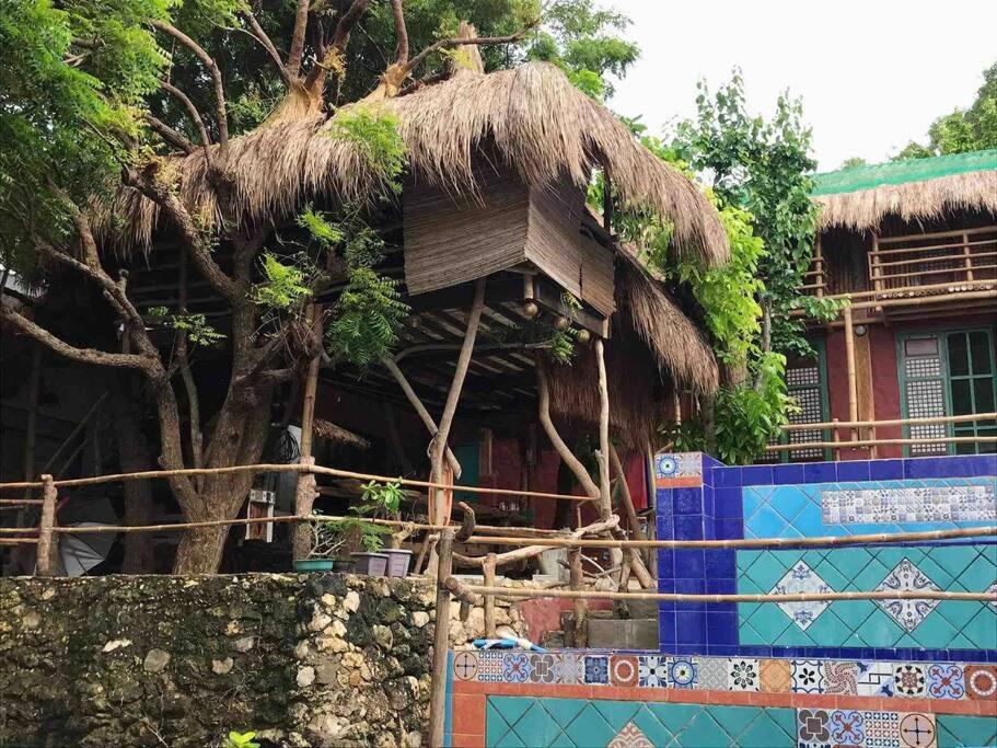 Tree House by the Ocean ( for 2 guests) view 3