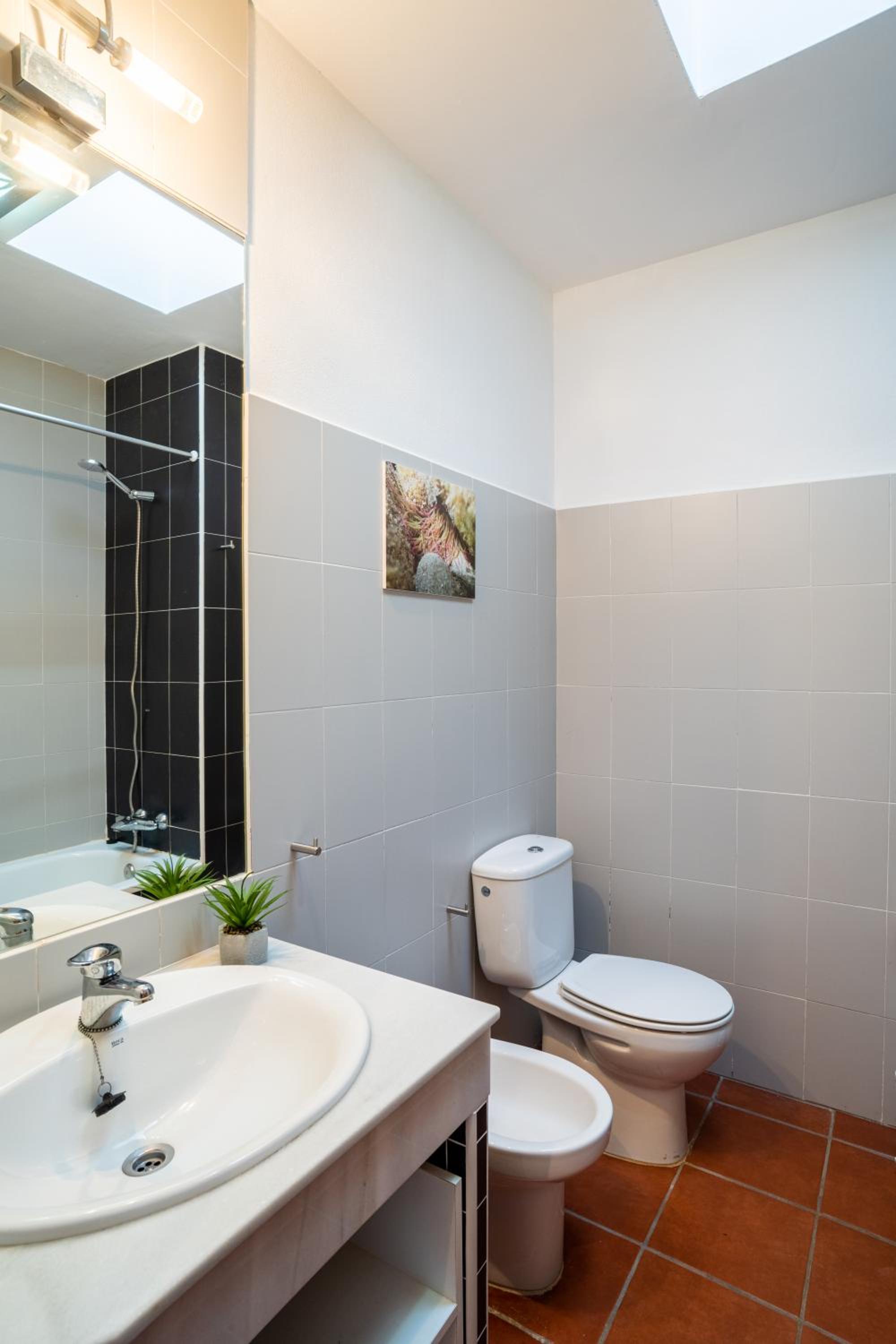 Trendy Homes Casa Nerida
