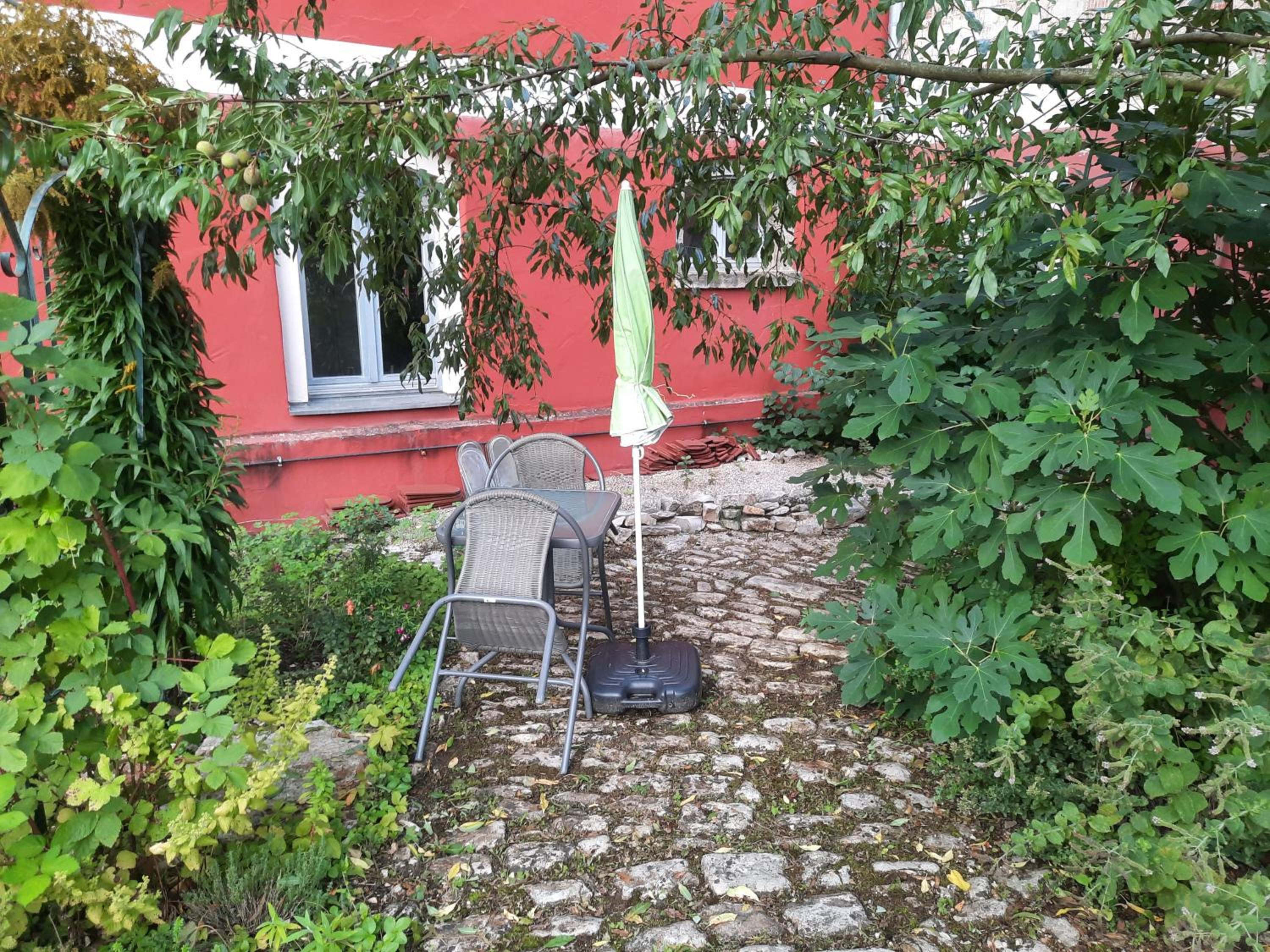 Photo 6