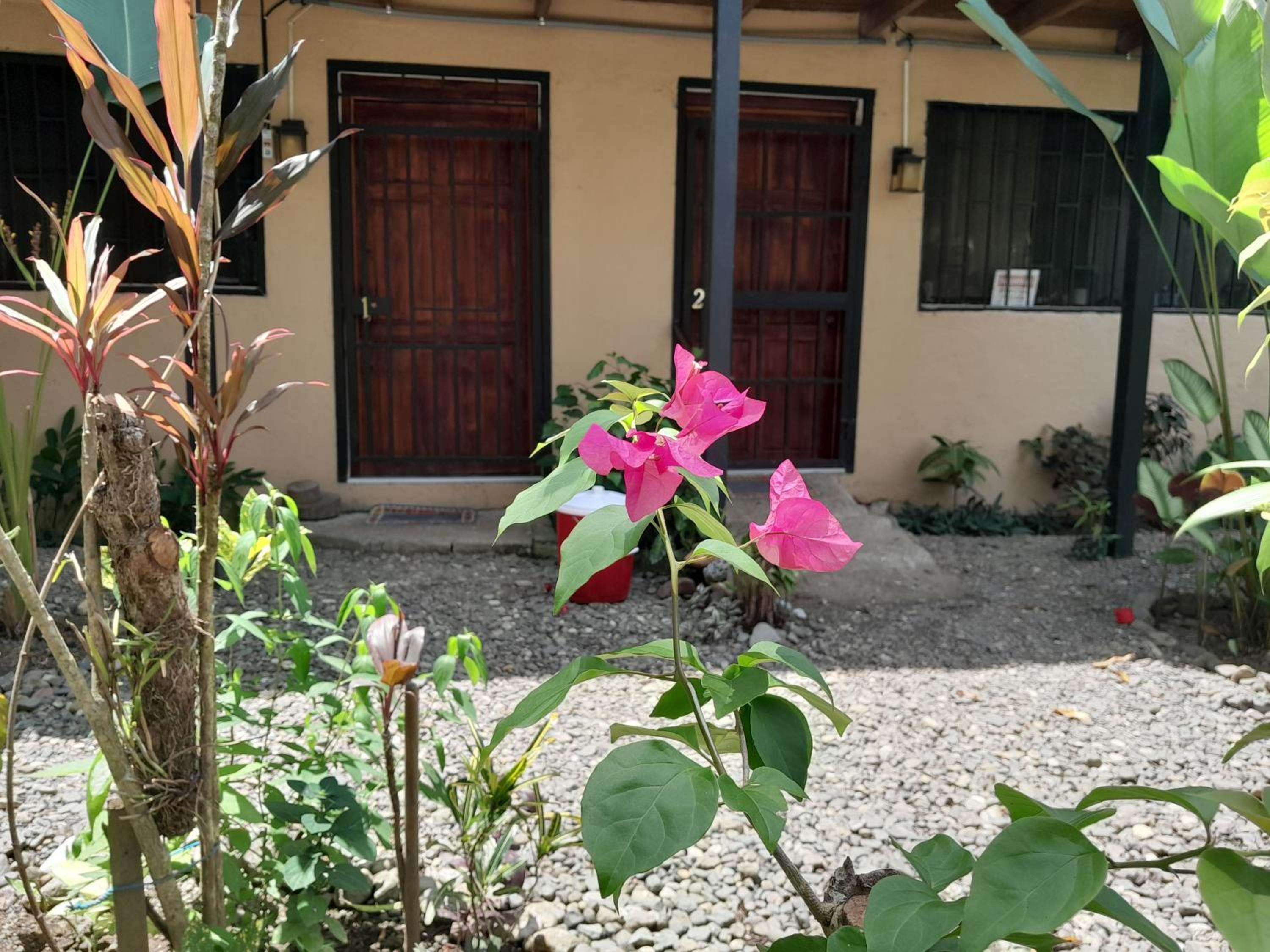 Miah house